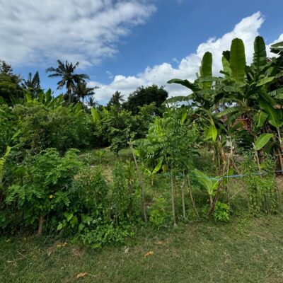bali_ada_emlak_arsa (2)
