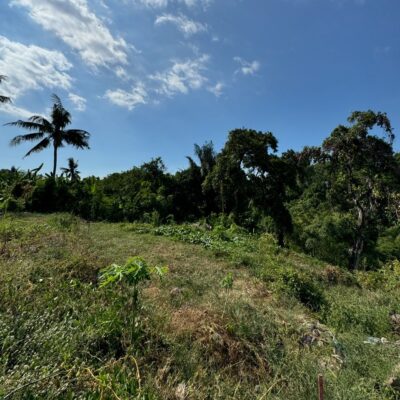 bali_ada_emlak_arsa (3)